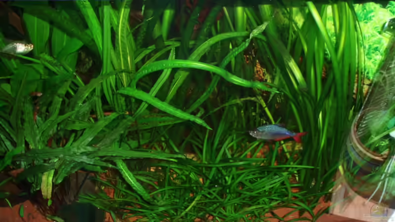 13.04.10 rechte Seite von ~Marco~ (17)