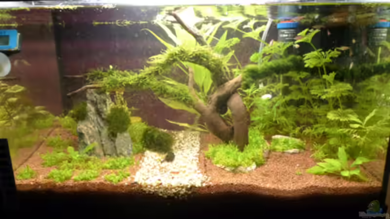 13-05-10 von Flevus (10)