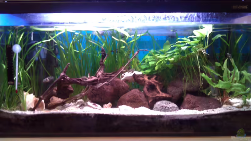 13.05.12 (nach 2 Jahren) von Patrick Kroner (1)