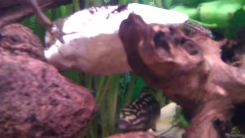 13.05.12 (nach 2 Jahren) von Patrick Kroner (10)