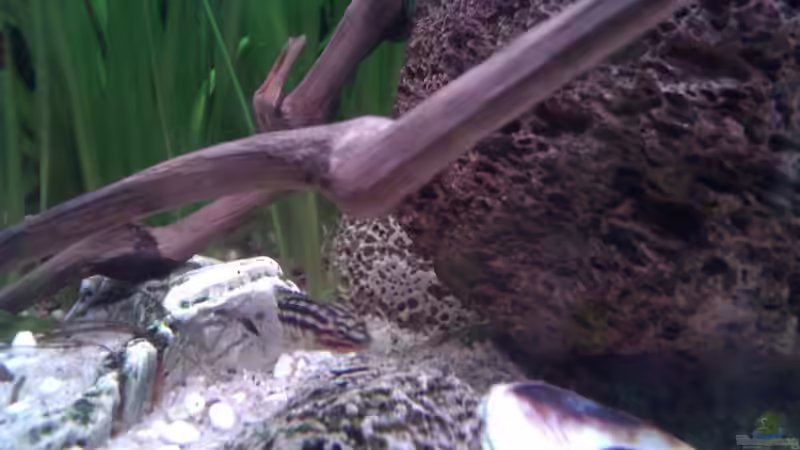 13.05.12 (nach 2 Jahren) von Patrick Kroner (13)