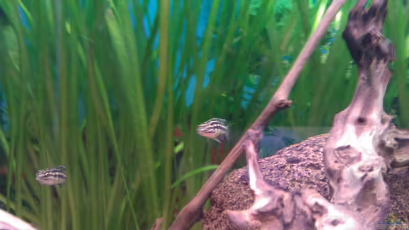 13.05.12 (nach 2 Jahren) von Patrick Kroner (16)