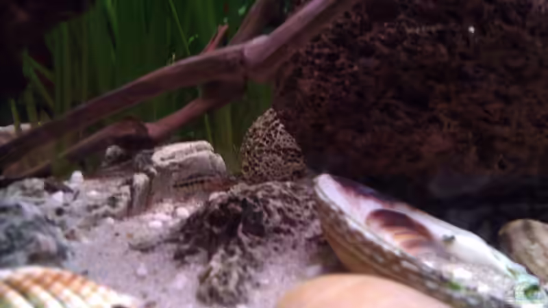 13.05.12 (nach 2 Jahren) von Patrick Kroner (17)