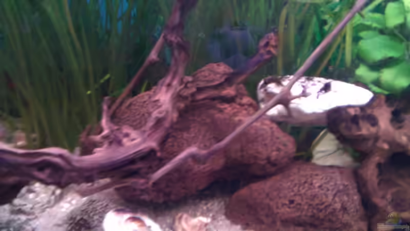 13.05.12 (nach 2 Jahren) von Patrick Kroner (2)