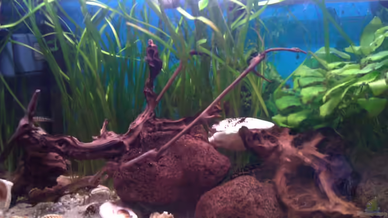 13.05.12 (nach 2 Jahren) von Patrick Kroner (3)