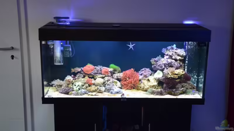 13.05.14 11 Tage nach Einrichtung von Brookshaw (13)