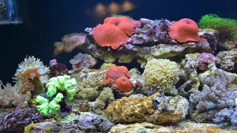 13.05.14 11 Tage nach Einrichtung von Brookshaw (8)