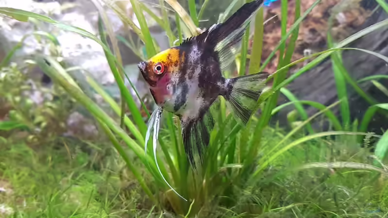 13.05.19 von Julia S. (8)