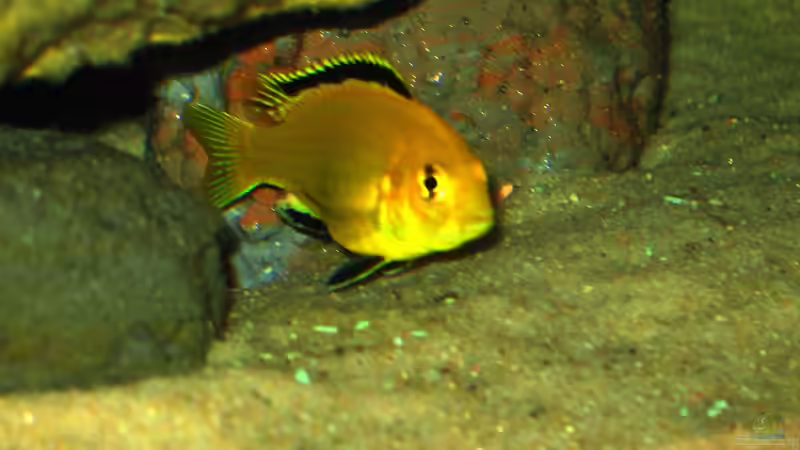 13.05.2010 von LaEy (78)