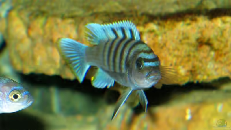 13.05.2010 von LaEy (79)