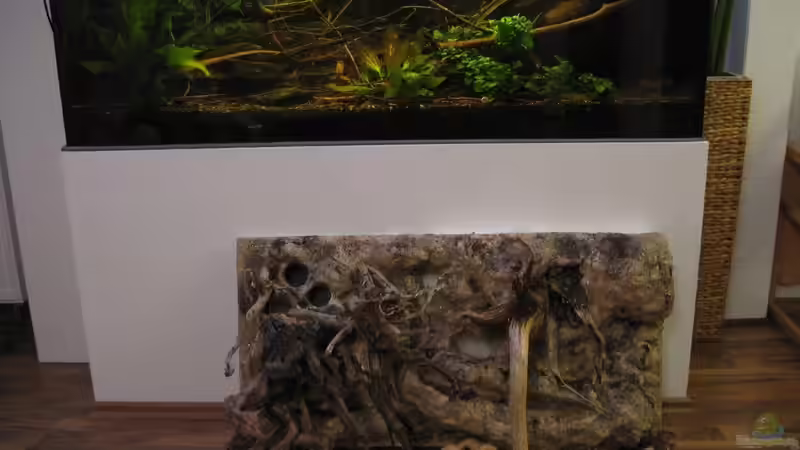 13.05.2015 Vergleich zum bestehenden Aquarium von der Theoretiker (28)