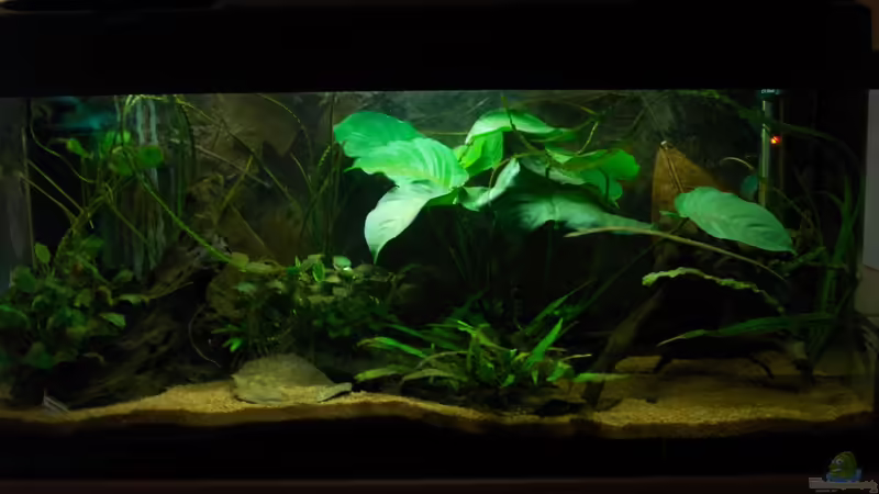 13.06.2012 von Koehler (9)