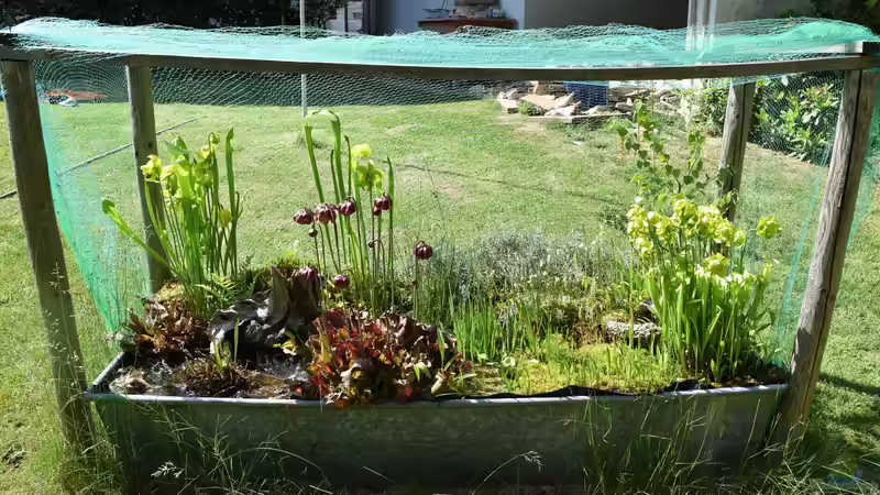 13.06.2020 von Junglist (3)