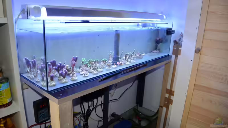 13.07.14 Ablegerbecken von Brookshaw (47)