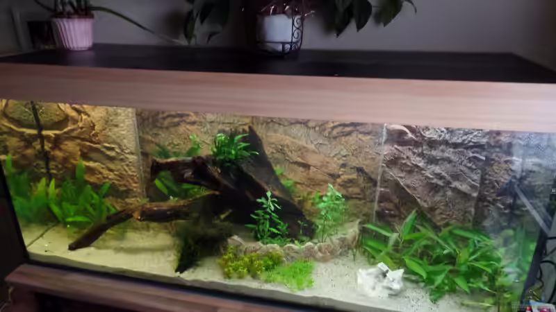 13.07.2014 von raubsau (56)