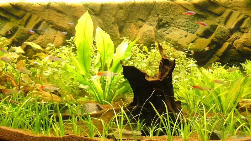 13.08.12 von Robert Reinsch (2)