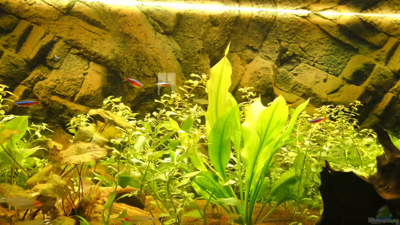 13.08.12 von Robert Reinsch (5)