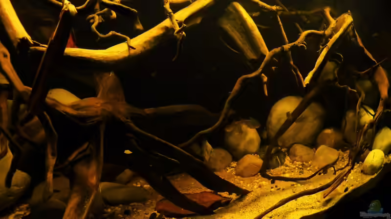 13.08.16 von ~Marco~ (6)