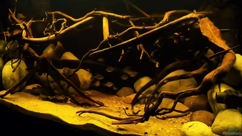 13.08.16 von ~Marco~ (7)