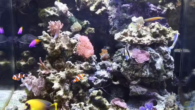 13.08.2009 volle Beleuchtung von Stephan Ascher (16)