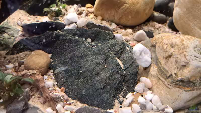 13.09.2023 von okefenokee (11)