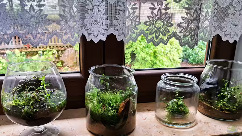 13.09.2023 von okefenokee (2)