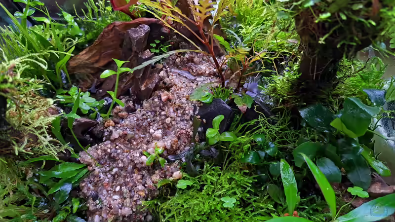 13.09.2023 von okefenokee (4)