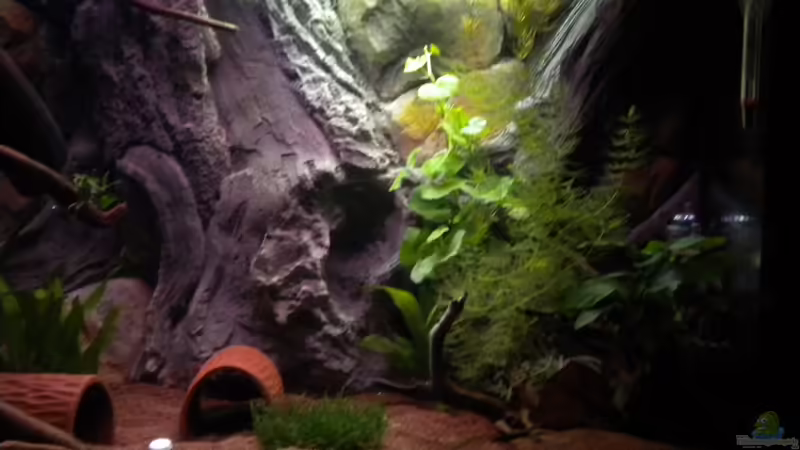 13.10.12 von Herki (11)