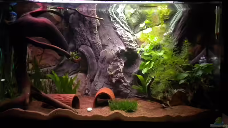 13.10.12 von Herki (12)