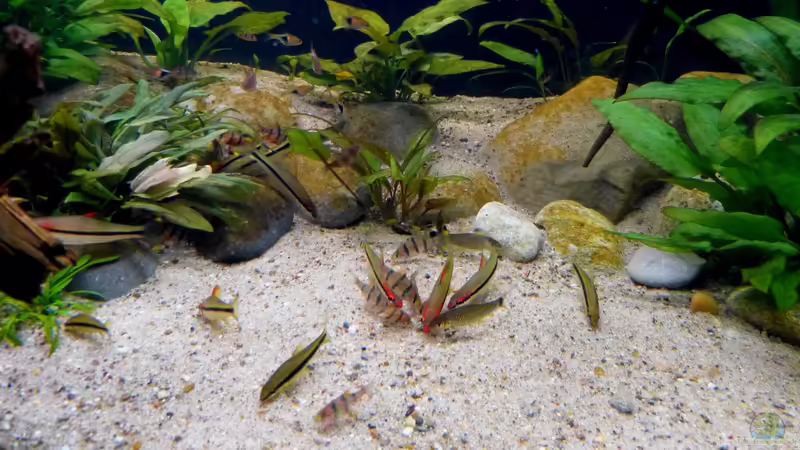 13.10.18 von ~Marco~ (70)