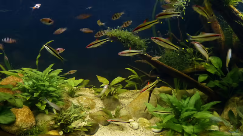 13.10.18 von ~Marco~ (71)