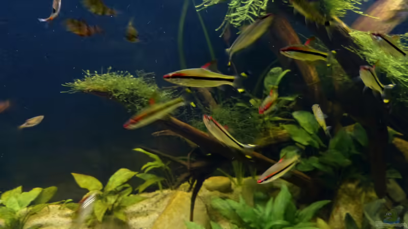 13.10.18 von ~Marco~ (72)