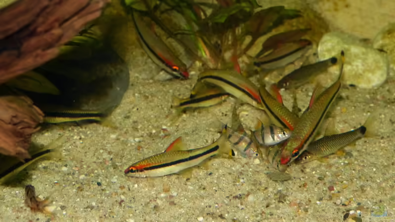 13.10.18 von ~Marco~ (73)