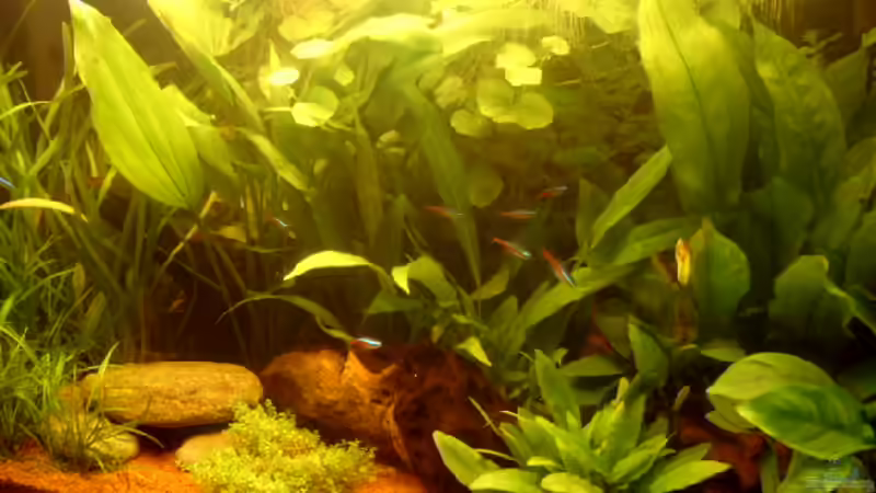 13.10.2006 von Thomas Kurth (4)