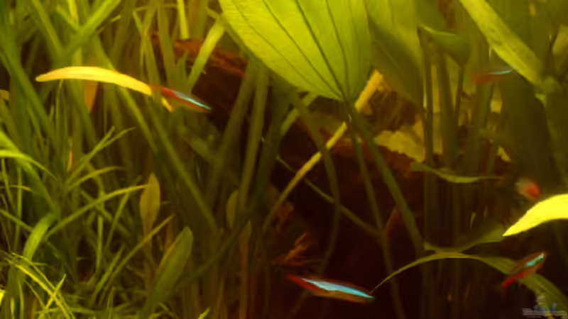 13.10.2006 von Thomas Kurth (5)