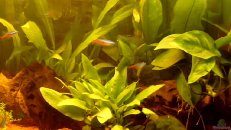 13.10.2006 von Thomas Kurth (6)