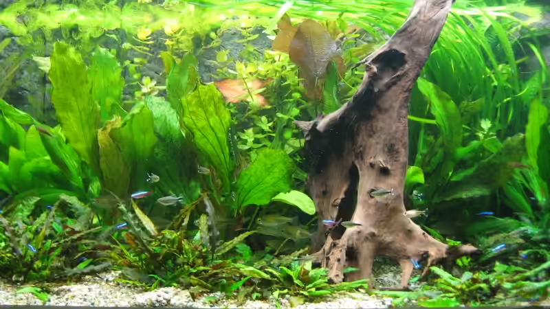 13.10.2011 von Thorbenhendrik (11)