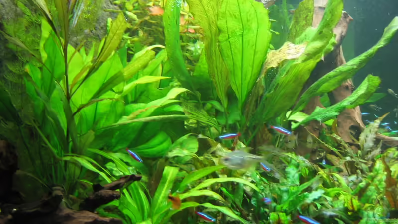 13.10.2011 von Thorbenhendrik (12)