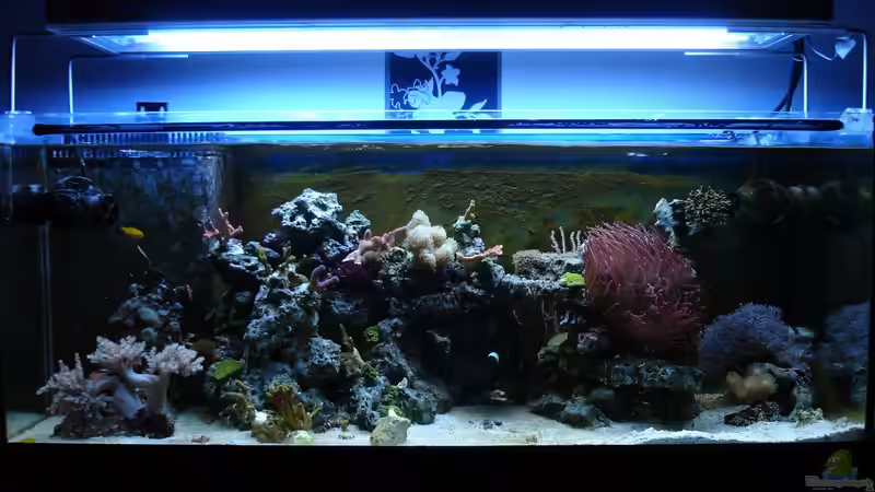 13.10.2012 von Jane Vogeler (24)