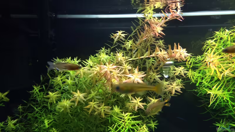 13.10.2013 von Walde (26)