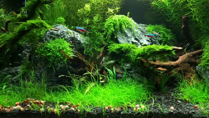 13.10.2013 von Walde (27)