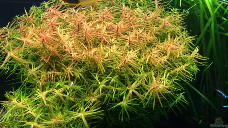 13.10.2013 von Walde (28)