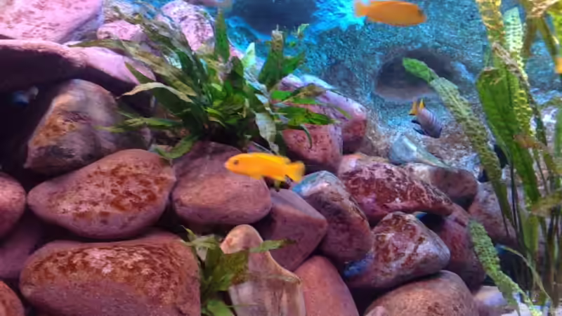 13.11.09 von Marco O. (28)