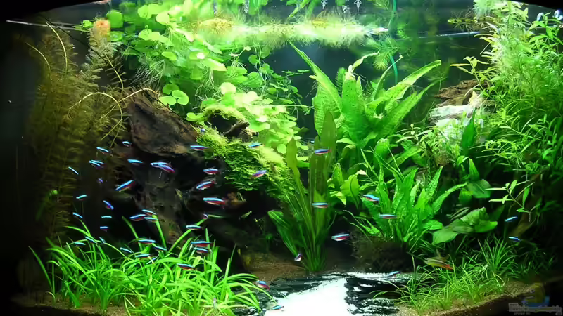 13.11.11 nach einer Aufräum-Aktion :-) von Christian Grunwald (7)