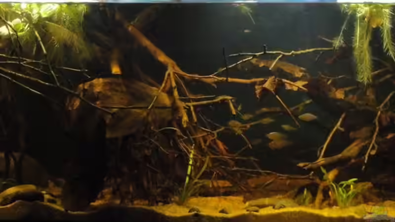 13.11.13 von Laura (20)