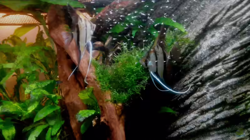 13.11.17 rechte Hälfte von Thorsten G. (11)