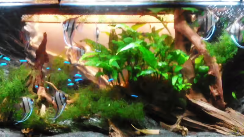 13.11.17 von Thorsten G. (9)