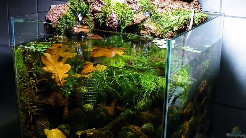 13.11.2010 - Tag 5 von bergfrau (4)