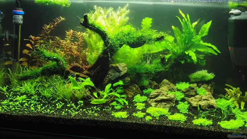 13.11.2010 von Microsash (5)