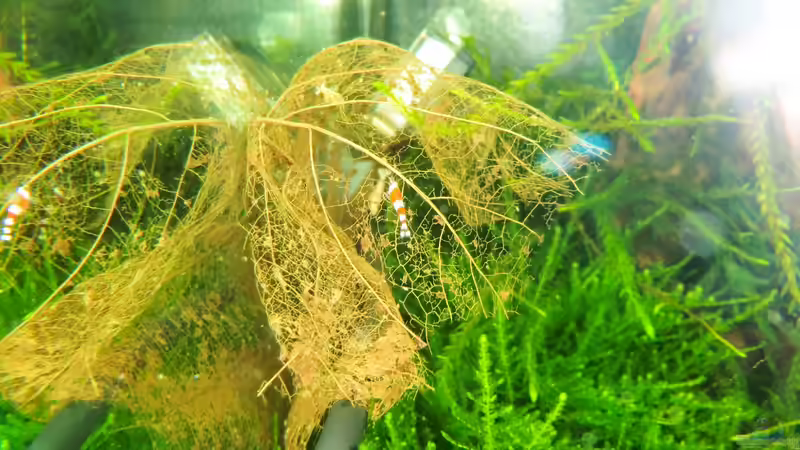 13.11.2012 von Walde (100)